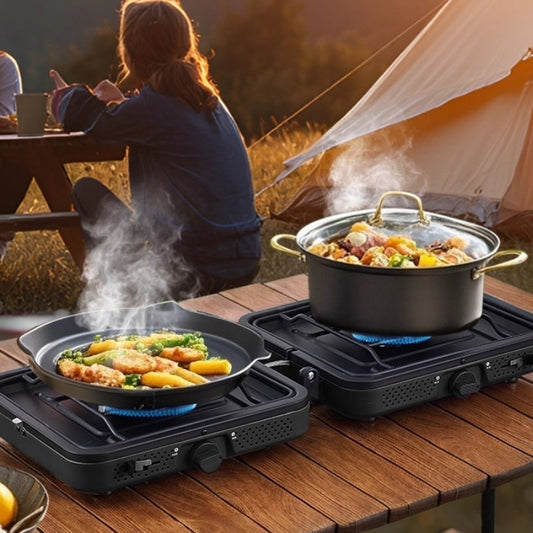 Portable Gas Stove Double Burner Outdoor Picnic Cooking